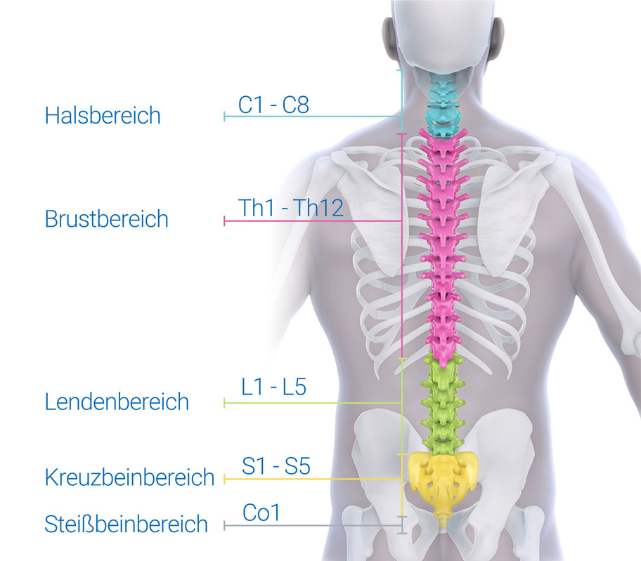 Autofahren mit Querschnitt, Medical Driving