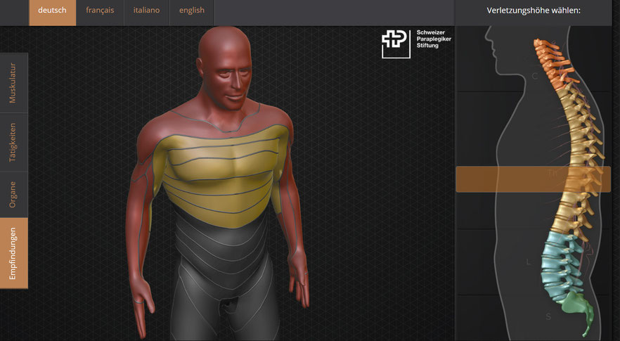 Autofahren mit Querschnitt, Medical Driving