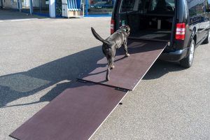 Hunderampe, Sonderumbauten, Kofferraum, Sodermanns