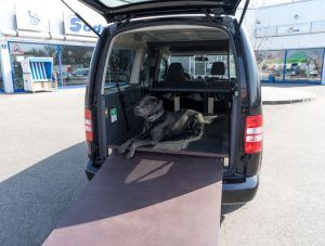 Hunderampe, Sonderumbauten, Kofferraum, Sodermanns