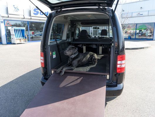 Hunderampe, Sonderumbauten, Kofferraum, Sodermanns