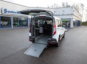 Kopf- & Rückenstütze, Futuresafe, Personensicherung, Sodermanns