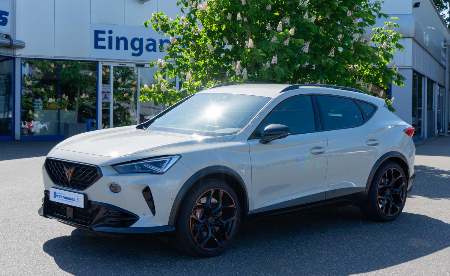 behindertengerechter Cupra Formentor Selbstfahrer