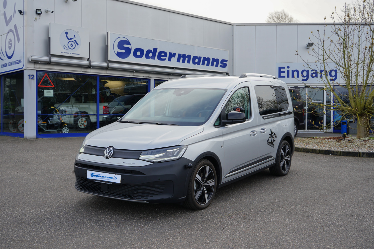 TURTLE kompatibel mit Volkswagen Caddy (2K) 2003-2019 / Kurzes Chassis Crown Dachreling | GRAU